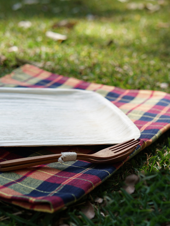 Disposable tableware for picnics