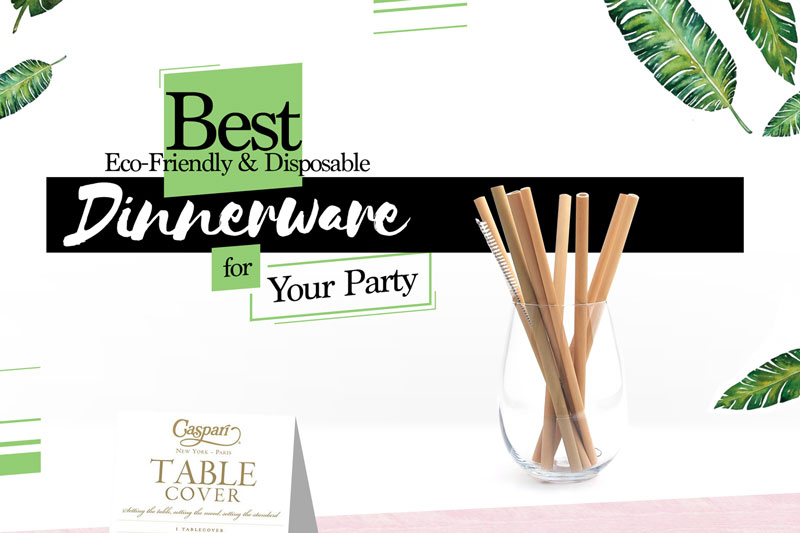 Best Eco-Friendly & Disposable Dinnerware for Your Party